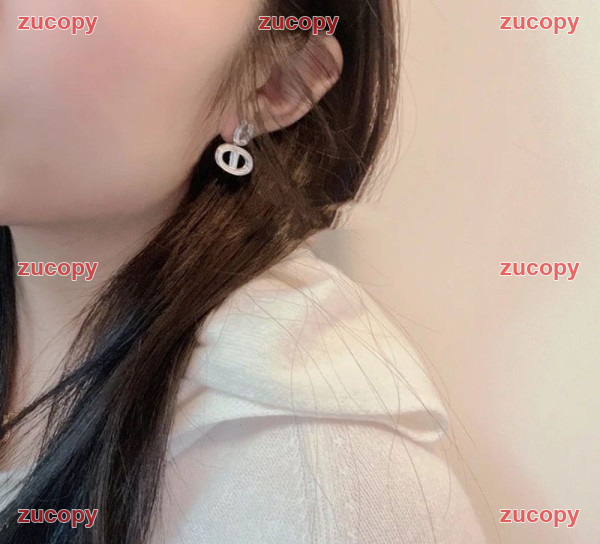 エルメス 人気 エルメス イヤリング N級品 - ZC-AC-1GCHMVR 原画像 5