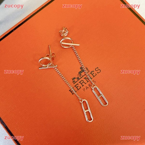 エルメス 送料無料 エルメス イヤリング コピー - ZC-AC-1MR2BNW 原画像 10