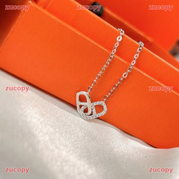 エルメス エルメス ネックレス N級品 送料無料 - ZC-AC-0CZEGGN 原画像 6
