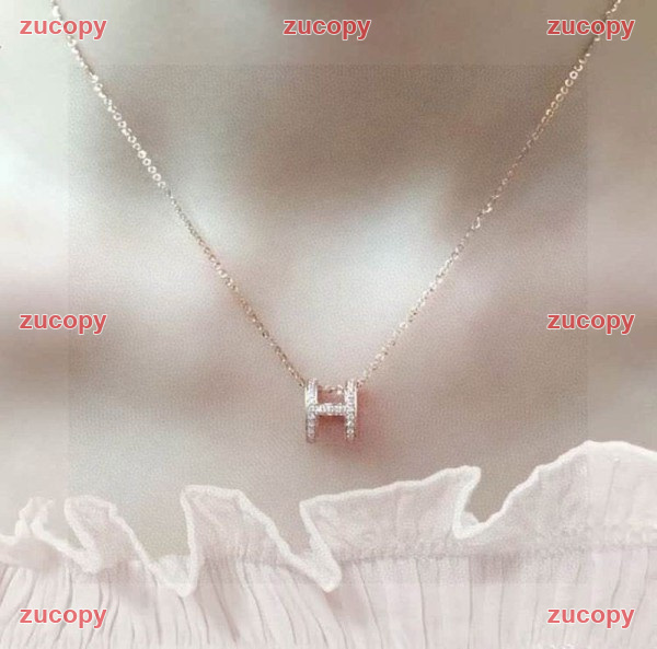 エルメス 格安 エルメス ネックレス コピー - ZC-AC-052E8KN 原画像 7
