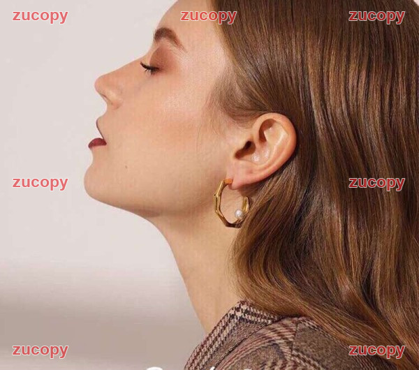 大人気 セリーヌ アクセサリー ブランドコピー - ZC-AC-0XY7GI6 画像 4