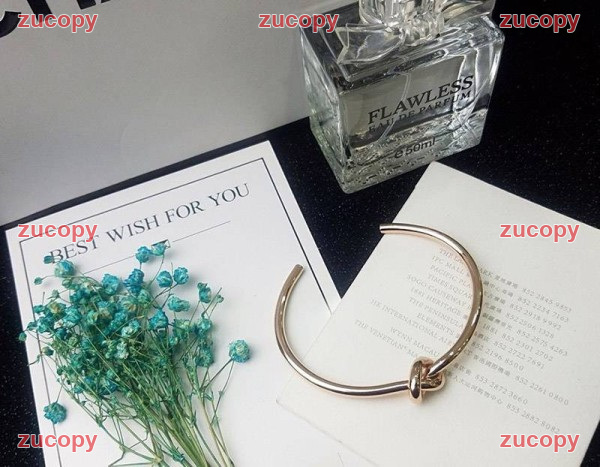 セリーヌ 人気 セリーヌ アクセサリー N級品 - ZC-AC-1RY6O25 原画像 3