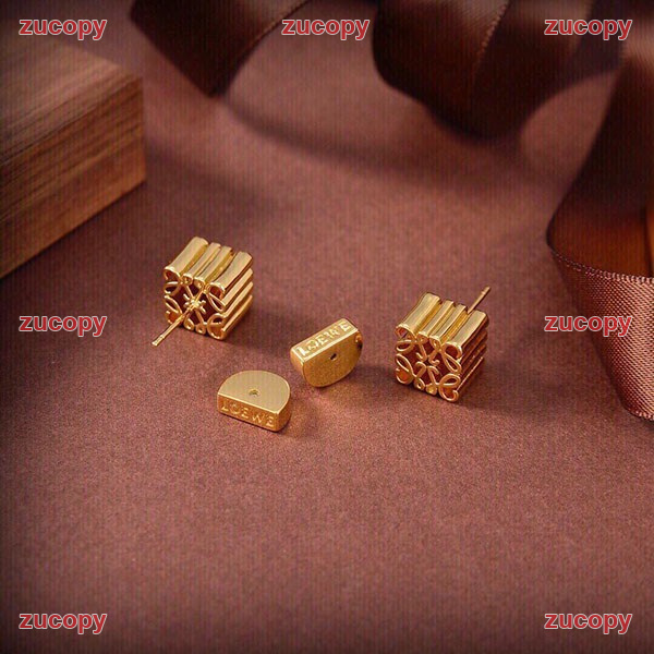 格安 ロエベ アクセサリー コピー - ZC-AC-07IGTES 画像 10