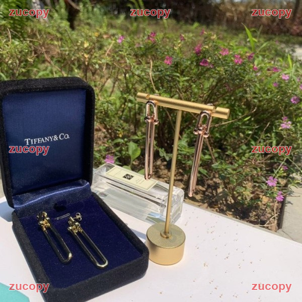 ティファニー イヤリング N級品 送料無料 - ZC-AC-01EVBCM 画像 6