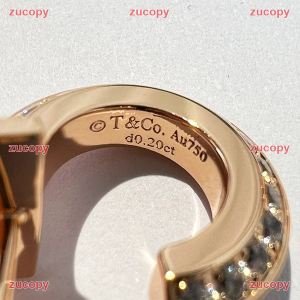 ティファニー 人気 ティファニー イヤリング N級品 - ZC-AC-1XZWSHL 原画像 8