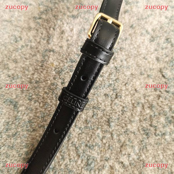 セリーヌ ショルダーバッグ N級品 送料無料 - ZC-BG-1MSA506 画像 10