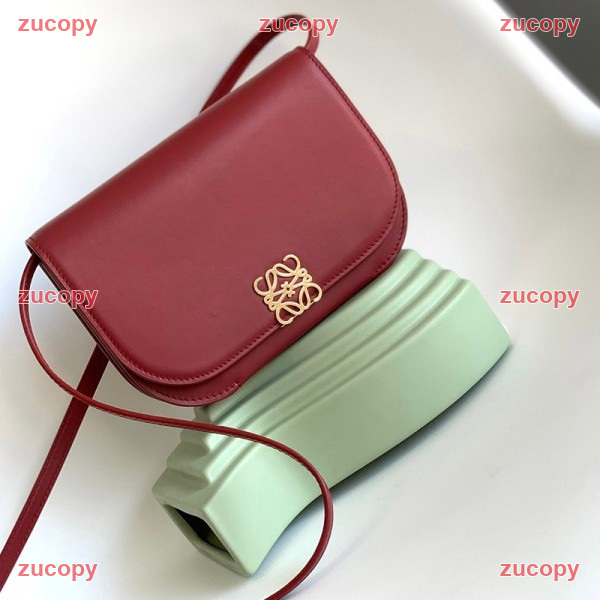 大人気 ロエベ ショルダーバッグ コピー - ZC-BG-1A6TLEF 画像 5