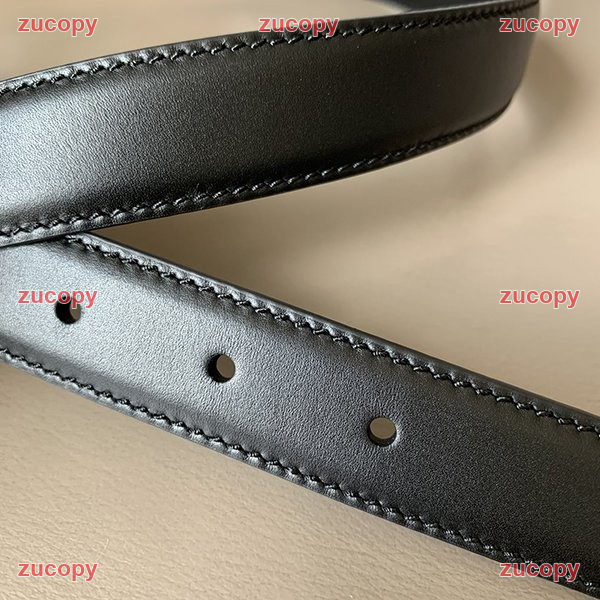 セリーヌ 送料無料 セリーヌ ベルト コピー - ZC-BT-1IDIABH 原画像 3