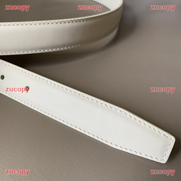 セリーヌ セリーヌ ベルト N級品 送料無料 - ZC-BT-0041PUN 原画像 3