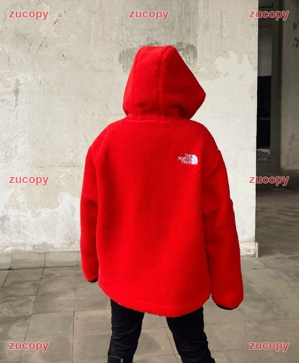格安 ザ・ノース・フェイス ジャケット スーパーコピー - ZC-CL-1CBF1UF 画像 2
