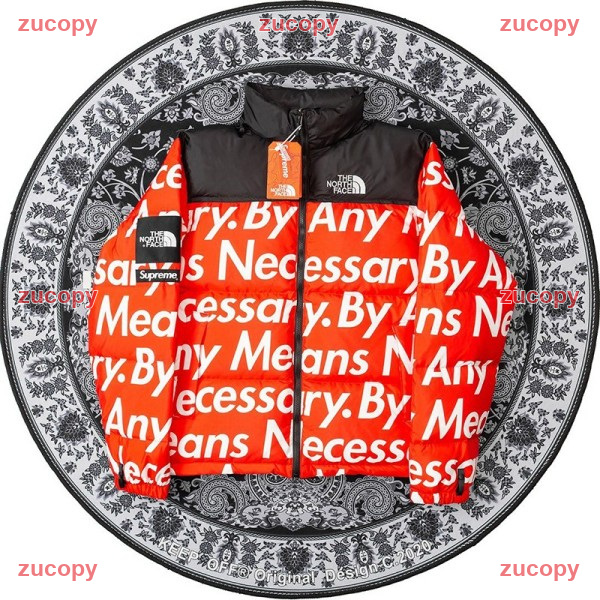 ザ・ノース・フェイス ダウンジャケット N級品 送料無料 - ZC-CL-0CRXC1I 画像 8