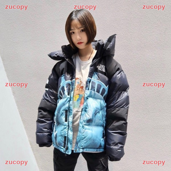 ザ・ノース・フェイス ザ・ノース・フェイス ダウンジャケット コピー 激安通販 - ZC-CL-0DHMGQW 原画像 10