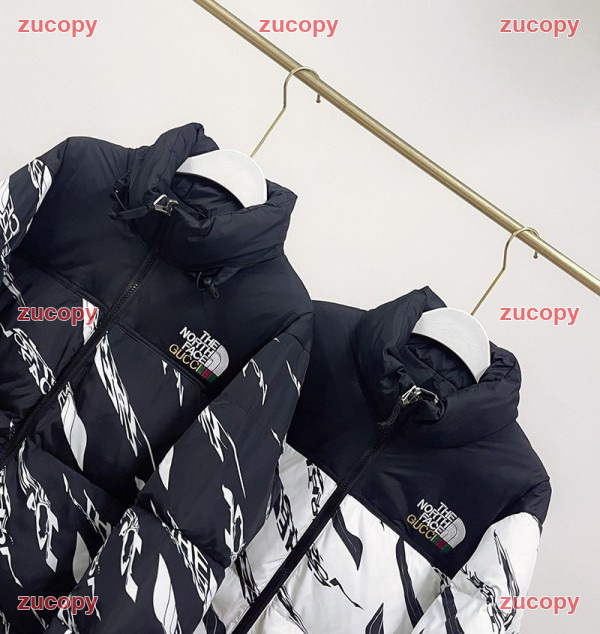 人気 ザ・ノース・フェイス ダウンジャケット N級品 - ZC-CL-0U99Y96 画像 8