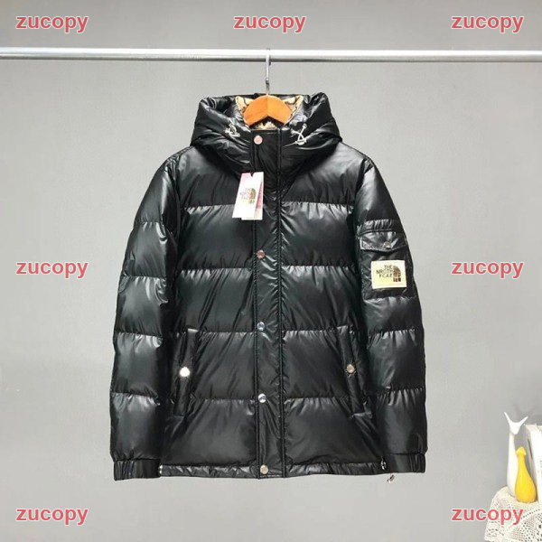 ザ・ノース・フェイス 大人気 ザ・ノース・フェイス ダウンジャケット コピー - ZC-CL-0NUP9H1 原画像 2