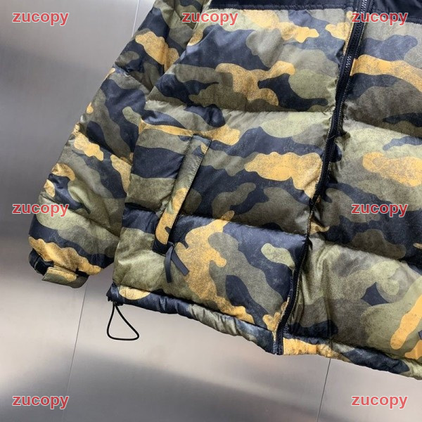 ザ・ノース・フェイス 大人気 ザ・ノース・フェイス ダウンジャケット コピー - ZC-CL-0BZ6XN1 原画像 5