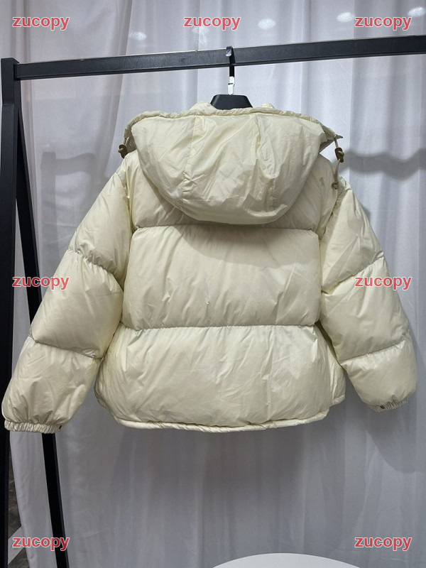 人気 ザ・ノース・フェイス ダウンジャケット N級品 - ZC-CL-1JVKPDQ 画像 6