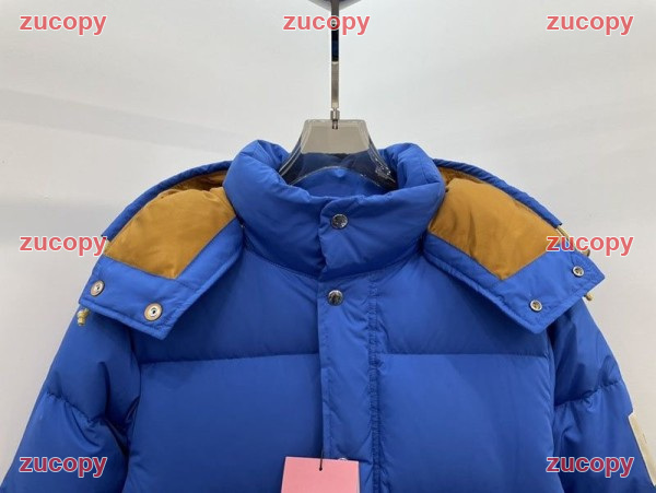 ザ・ノース・フェイス ザ・ノース・フェイス ダウンジャケット N級品 送料無料 - ZC-CL-1Y75M1V 原画像 2
