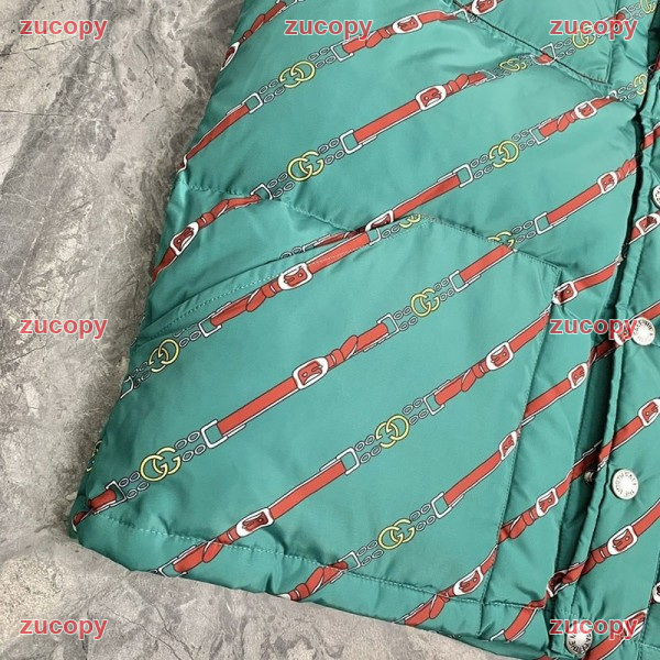人気 ザ・ノース・フェイス ダウンベスト N級品 - ZC-CL-0PXX9YH 画像 7
