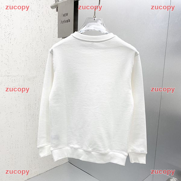 ザ・ノース・フェイス パーカー N級品 送料無料 - ZC-CL-0SIWI4F 画像 2