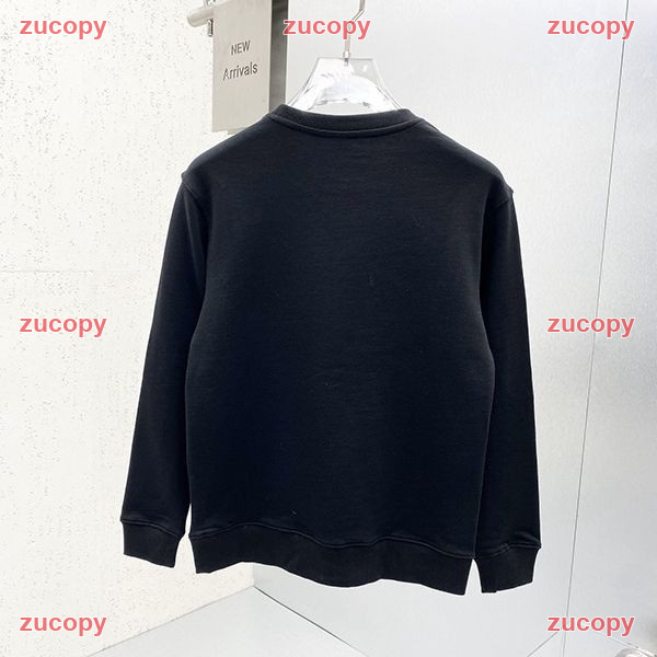 人気 ザ・ノース・フェイス パーカー N級品 - ZC-CL-1JNMSCU 画像 2