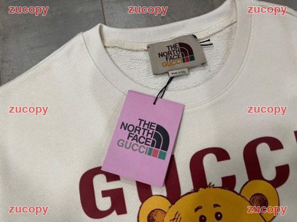 大人気 ザ・ノース・フェイス パーカー コピー - ZC-CL-0WHEM2F 画像 2