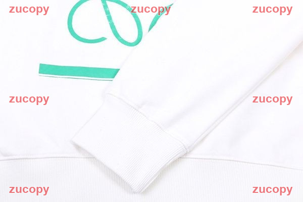 大人気 ロエベ スウェット コピー - ZC-CL-0UOPDSY 画像 6