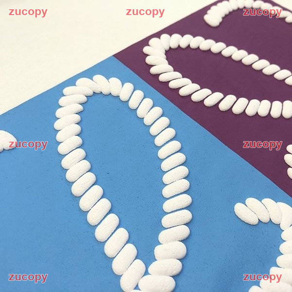 ロエベ 半袖 コピー 激安通販 - ZC-CL-0UBUTG9 画像 4