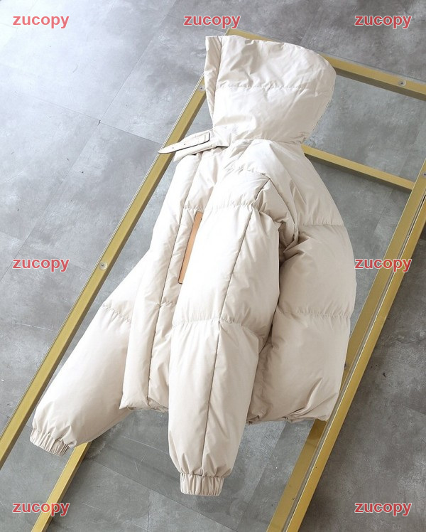 ルイ・ヴィトン 人気 ルイ・ヴィトン ダウンジャケット N級品 - ZC-CL-1H73T0P 原画像 3