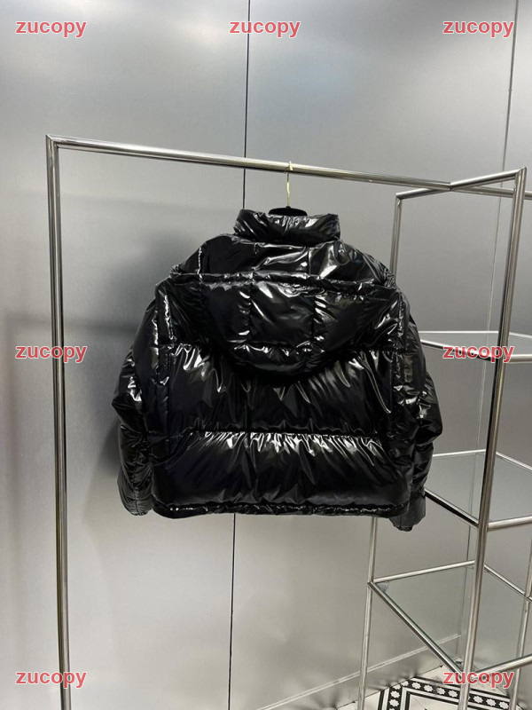 人気 ルイ・ヴィトン ダウンジャケット N級品 - ZC-CL-1N8TXG5 画像 11