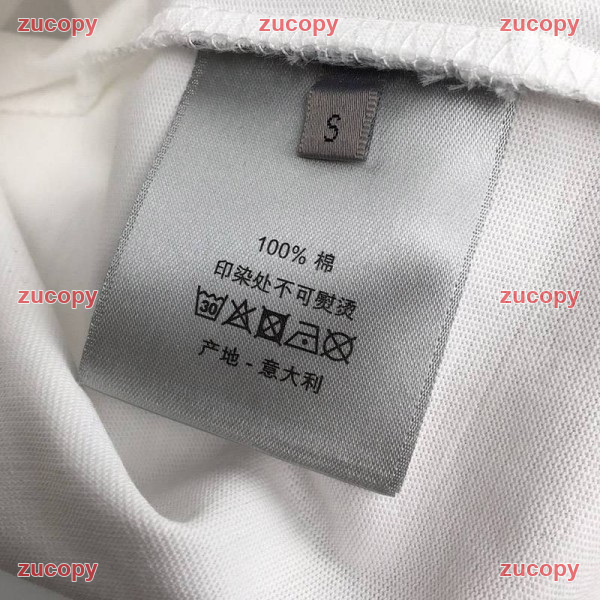 ディオール ディオール 半袖 コピー 激安通販 - ZC-CL-0WUYNZH 原画像 8
