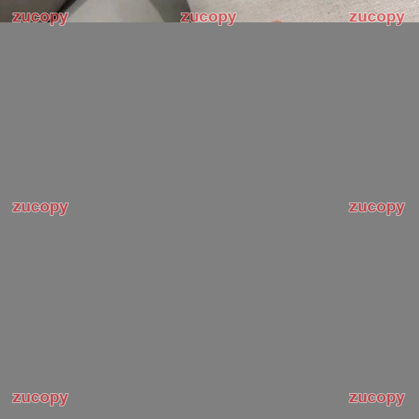 エルメス コンスタンス N級品 激安通販 - ZC-WL-0INB7M8 画像 3
