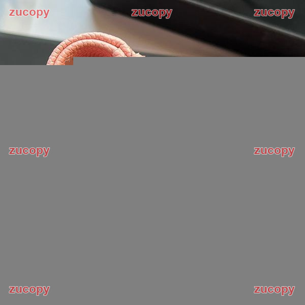 シャネル 折り財布 コピー 送料無料 - ZC-WL-0SEFMWF 画像 2
