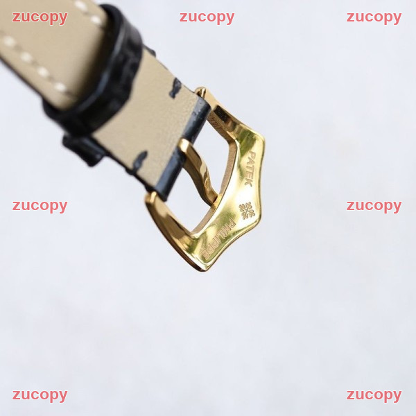 大人気 パテック・フィリップ コンプリケーション スーパーコピー腕時計 - ZC-WT-0YBWREY 画像 9