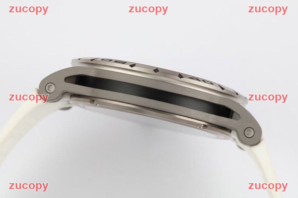人気 ロジェ・デュブイ 腕時計 N級品腕時計 - ZC-WT-0SC20M8 画像 6