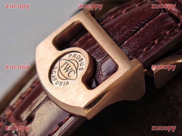 人気 IWC ポルトギーゼ N級品腕時計 - ZC-WT-0SG96DO 画像 8