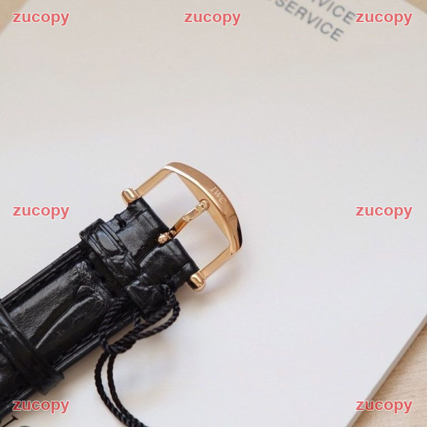 大人気 IWC ポートフィノ スーパーコピー腕時計 - ZC-WT-0Q06LJJ 画像 9